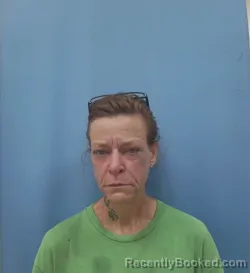 Mugshot of Amanda Gober booked in Franklin County, Alabama on August 7, 2026