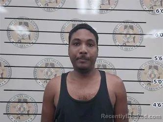 Mugshot of Timothy Wiggins booked in Franklin County, Alabama on August 25, 2026