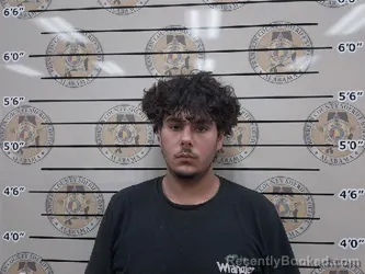 Mugshot of JORDYN XZAVIER MELTON booked in Franklin County, Alabama on June 14, 2026