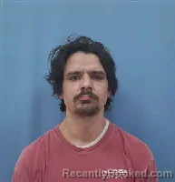 Mugshot of BRENT DWAYNE SARTIN booked in Franklin County, Alabama on April 8, 2026