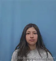 Mugshot of GRETTEL ESTEFANIA SOTO booked in Franklin County, Alabama on April 10, 2026