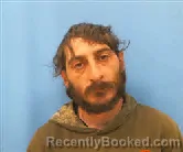 Mugshot of MICHAEL SHANE WOLLENZIEN