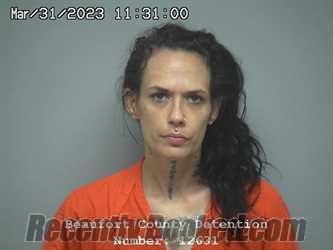 Booking photo from Beaufort County, South Carolina