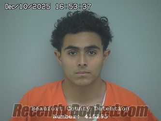 Booking photo from Beaufort County, South Carolina