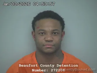 Booking photo from Beaufort County, South Carolina