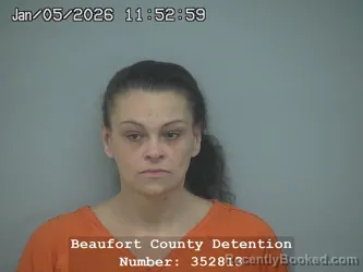 Mugshot of AMY LOU MELTON