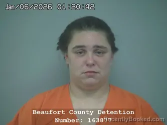 Booking photo from Beaufort County, South Carolina