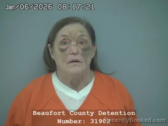 Mugshot of BRENDA LEE STEVENS