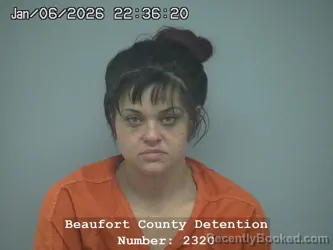 Mugshot of ALEXANDREA DANNELLE CHEATHAM