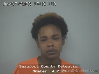 Booking photo from Beaufort County, South Carolina