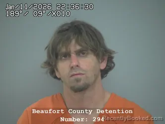 Mugshot of WILLIAM HENRY WARD