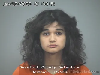 Mugshot of CRISTIAN ADRIAN RUELAS RANGEL