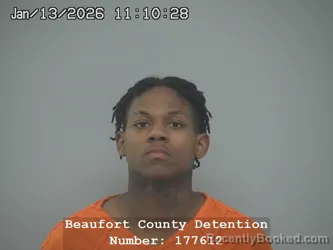Mugshot of DELANTE VARIOUS MALIK HILL