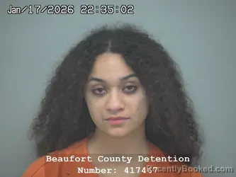 Mugshot of PAIGE PATRICIA PRIOLEAU