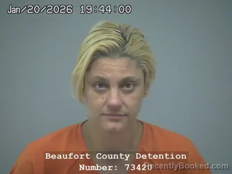 Booking photo from Beaufort County, South Carolina