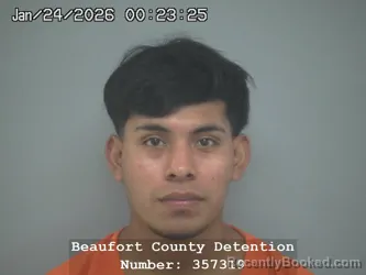 Mugshot of EDWIN ERASMO RAMIREZ HERNANDEZ