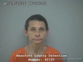 Mugshot of MELISSA RENEE HENR WENDEL