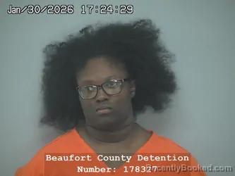 Mugshot of BRIANNA LAKEIA WATSON