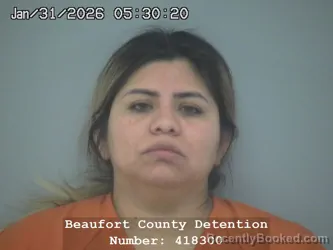 Mugshot of ISAMAR CASTILLO GALINDO