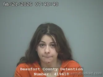 Mugshot of SUMMER ENGLAND