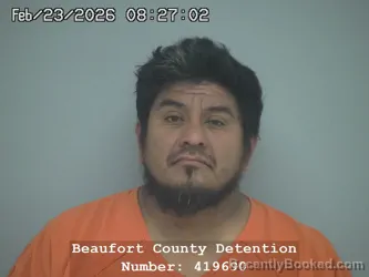 Mugshot of EVERADO CASTRO LEYVA