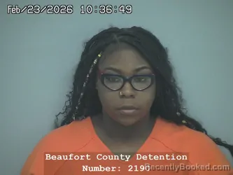 Mugshot of SHAWNTAUL RENEE JENKINS