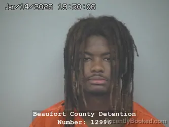 Mugshot of CHRISTOPHER WENDELL BURKE