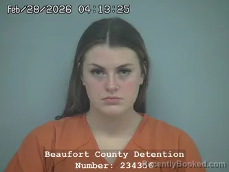 Mugshot of AUDREY LYNN SNYDER