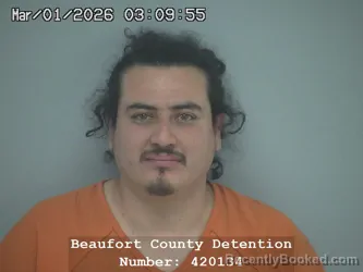 Mugshot of BRAYAN LOPEZ MATEO