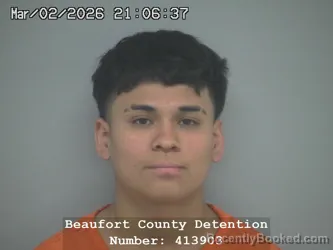 Mugshot of LUIS ANGEL ADAME