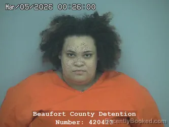 Mugshot of CIARA MESHAE ENGLISH