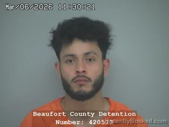 Mugshot of WALTER ULLOA BONILLA