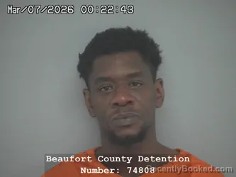 Mugshot of LAANTHONY DARRION WILLIAMS