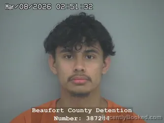 Mugshot of CHRISTOPHER S CARDOZA IRIAS