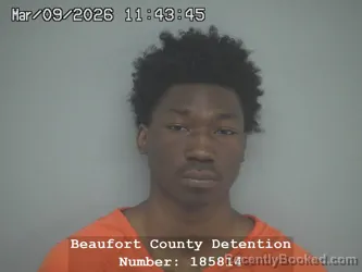 Mugshot of JAKHI JOEL JOHNSON