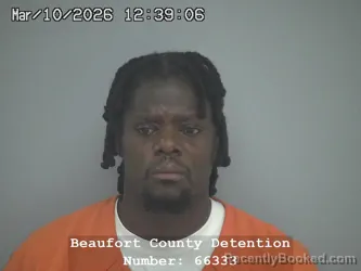 Mugshot of TROY LAMONT CHISOLM