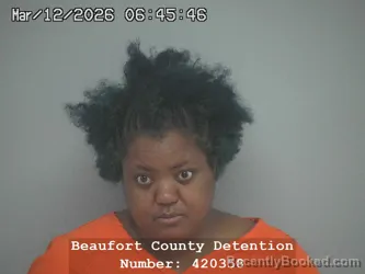 Mugshot of BRITTANY NICOLE WRUSHEN