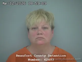 Mugshot of JOHNNA LEE CUMMINGS