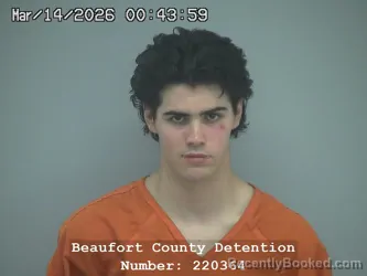 Mugshot of NOLAN RYAN MEADE