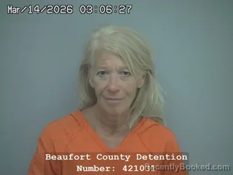 Mugshot of SHERRI DRAKE MCCOY