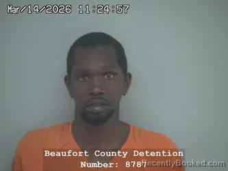 Mugshot of ERIC LLASALLE WILLIAMS