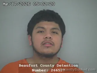 Mugshot of EMANUEL ARMAN MORALES