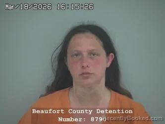 Mugshot of ASHLEY KAYE BALL