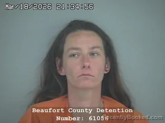 Mugshot of SKYE NICOLE HAYES