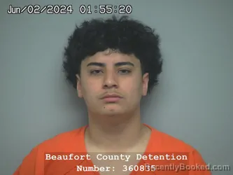 Mugshot of IRVING URIEL ZAMORA