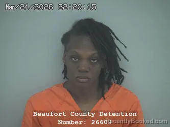 Mugshot of JESSICA JOANN PIERCE