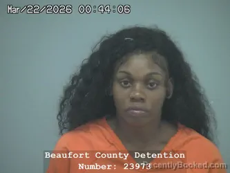 Mugshot of ALYSHA MALLINE DIGGS-CHAPMAN