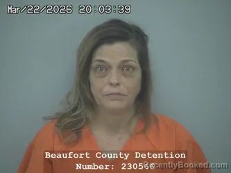 Mugshot of MEAGHAN ASHLEY DIVER