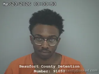 Mugshot of WAVERLY VONWES PATTERSON