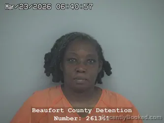 Mugshot of CYNTHIA PERRY